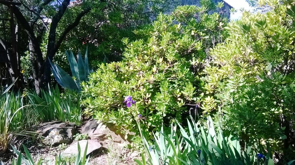 Mas Montebello Rigarda Екстер'єр фото